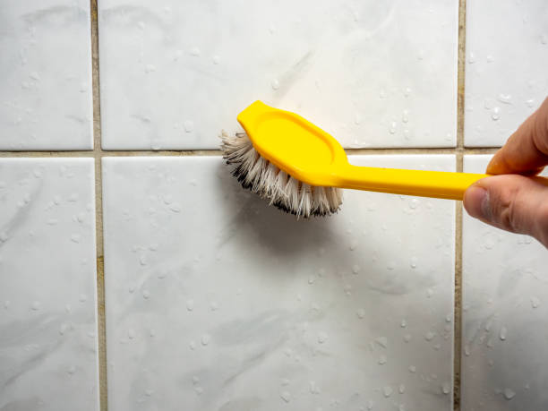 Best Certified Mold Removal  in Milan, TN