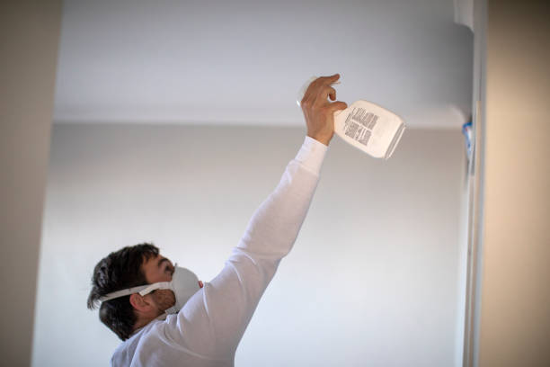 Best Toxic Mold Removal  in Milan, TN