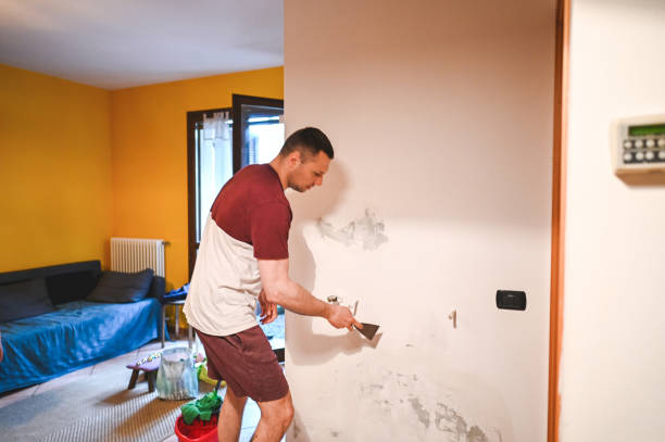 Best Mold Remediation Experts  in Milan, TN